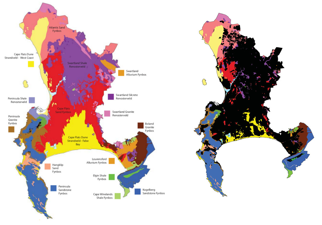 Cape Town transformed
